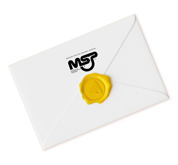envelope